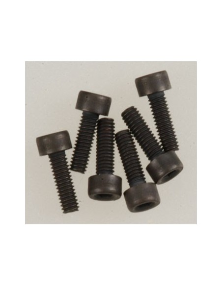 Screws, 2.5x8mm cap-head (6)