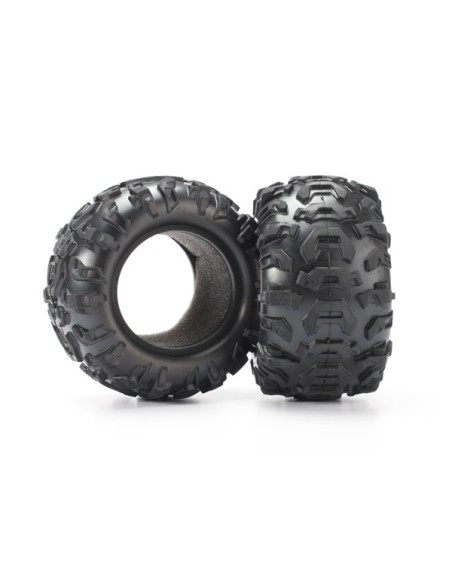Tires, Canyon AT 2.2" (2)