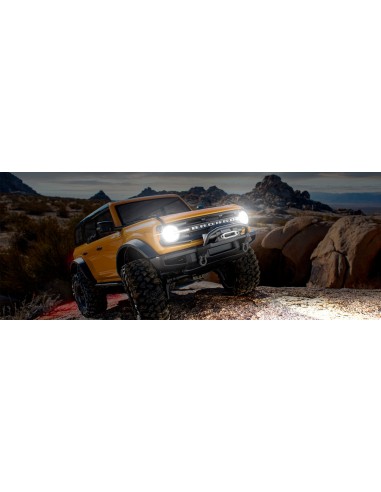 Pro scale led system w/module