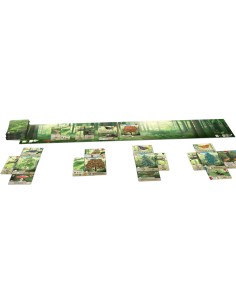 Forest Shuffle 2