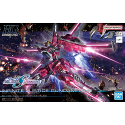 HG 1/144 Infinite Justice Gundam TypeII