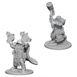 D&D Nolzurs Marvelous Miniatures - Dwarf Cleric Male