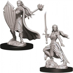 D&D Nolzurs Marvelous Miniatures - Female Elf Paladin