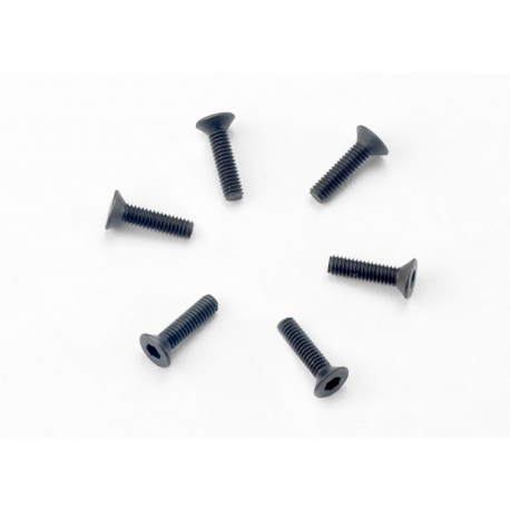 Screws, 2.5x10mm countersunk (hex drive) (6)