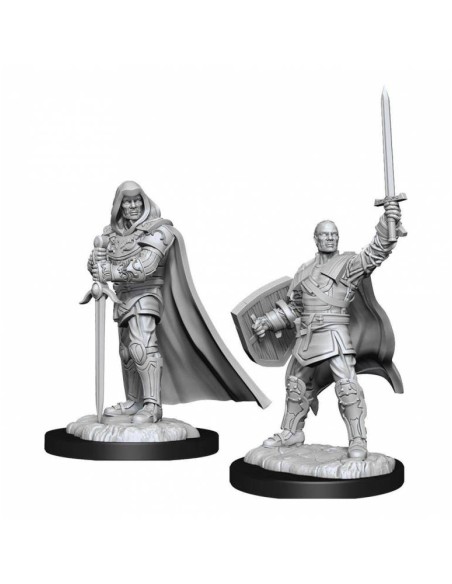 D&D Nolzurs Marvelous Miniatures - Human Paladin Male