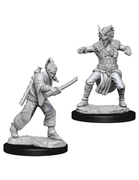 D&D Nolzurs Marvelous Miniatures - Male Human Monk