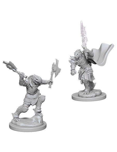D&D Nolzurs Marvelous Miniatures - Dragonborn Female Fighter