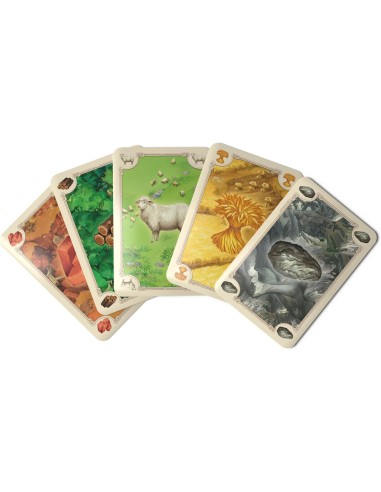 CATAN 6th Edition (2025)