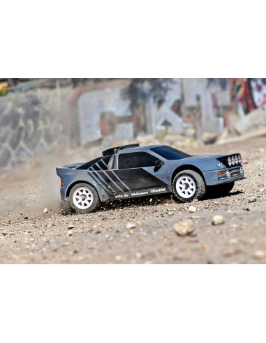 Mini Rally VXL Ford RS200 GRAY