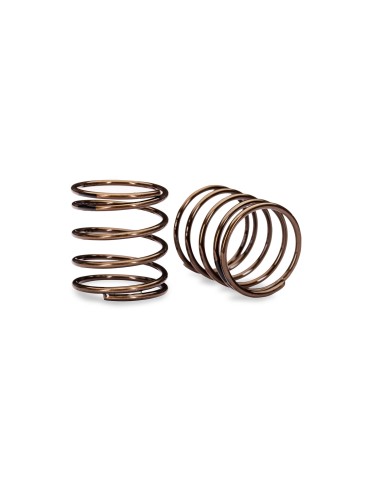 Mini GTR Springs (1.36-Rate Black Stripe) (2)