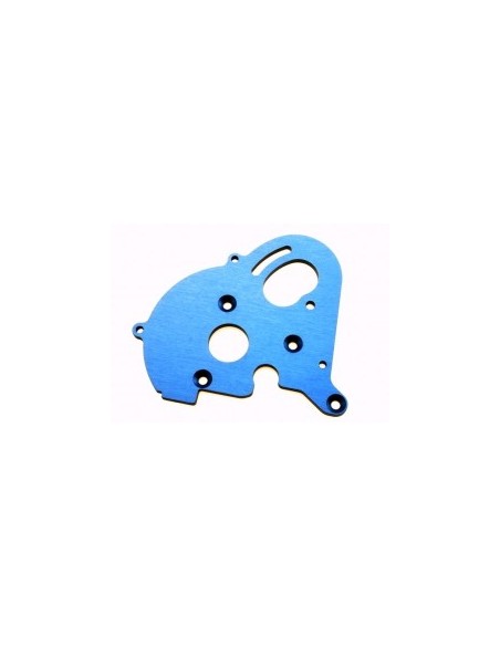 Plate, motor (for single motor installation, use gear cover