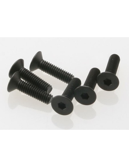Screws, 4x15mm countersunk (hex drive) (6)