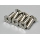 Screws, 4x12mm countersunk (100-degree) (6)