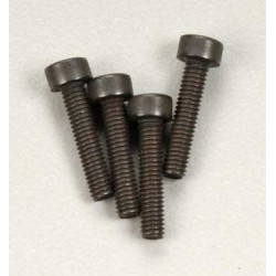 Screws, 2.5x12mm cap-head (6)