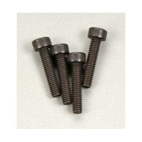 Screws, 2.5x12mm cap-head (6)