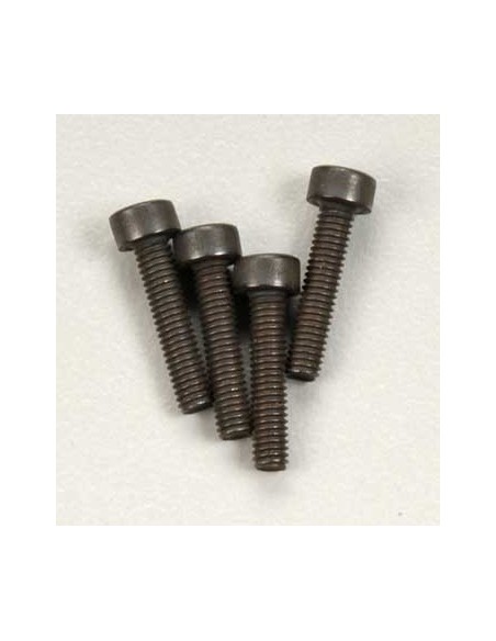 Screws, 2.5x12mm cap-head (6)